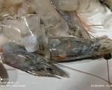 Foto del paso 2 de la receta: Judías blancas con langostinos y chirlas enfadadas