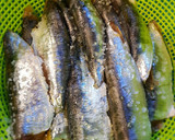Foto del paso 1 de la receta: Empanada de sardinas (xoubas)