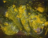 Foto langkah ke 5 dari resep Ikan Mas Goreng 🐟.