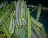 A picture of step 1 of Pirandai(Veldt Grape) Thokku- Tamilnadu special.