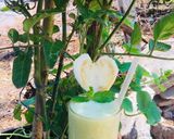 Hình bước làm 1 của món Nước ép ổi