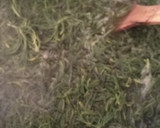 Foto del paso 3 de la receta: Romeritos