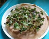 Foto del paso 4 de la receta: Brotes de mostaza: un jardín en mi cocina
