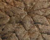 A picture of step 6 of Kibbeh in a Tray.