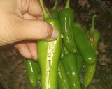 मोटी हरी मिर्च भरवा (moti hari mirch bharwa recipe in Hindi) रेसिपी चरण 1 फोटो