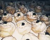 Foto del passaggio 5 della ricetta Zeppole di S.Giuseppe