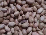 29. Kacang Kribo Asin