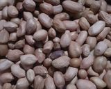Foto langkah ke 3 dari resep 29. Kacang Kribo Asin.