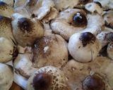 Gombafasírt, őzláb gombából recept fázis 1 fotója