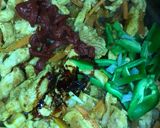صورة لخطوة 3 من وصفة مكرونة بالنكهة الصينية 🥢🍲