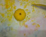 Foto del paso 19 de la receta: Pastel de calabaza sobre cama de cacao y nuez