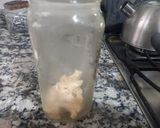 Foto del paso 5 de la receta: Coliflor en Conserva