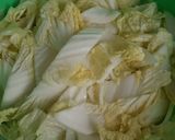 Foto langkah ke 1 dari resep Fresh kimchi /geotjeori.