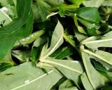 Foto langkah ke 1 dari resep Gulai daun singkong.
