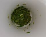 Foto del paso 2 de la receta Merluza con salsa de espárragos