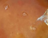 Foto langkah ke 1 dari resep Es Puding Mangga Segar.