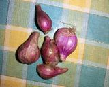 Foto langkah ke 2 dari resep Telor dadar asam Sunti khas aceh.