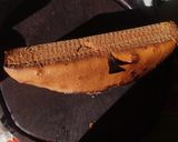 Foto del paso 6 de la receta: Budín de mandarina 🍊