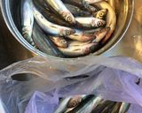 控 魚的食譜步驟1照片