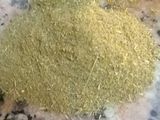 ورق عنب (دوالي) مع دجاج