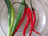 Tumis Picung