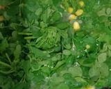 Foto langkah ke 3 dari resep Sayur bening daun kelor.