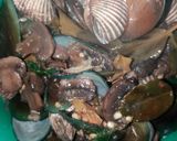 Foto langkah ke 5 dari resep Kerang hijau jamur Saus Tiram.