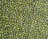 Foto langkah ke 1 dari resep Bubur Kacang Hijau + Ubi.