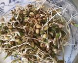 A picture of step 3 of California Farm Indoor Mung Bean Sprouts.