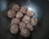 Foto langkah ke 2 dari resep Baso Tahu 🐷 Nyong thew fu.