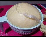 Foto del paso 3 de la receta: Pan dulce navideño