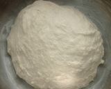 Foto langkah ke 1 dari resep Orange Peel Double Choco Sourdough Bread 74% (Open Bake Method).