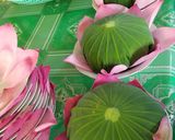 Hình bước làm 5 của món Cơm sen