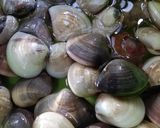 Foto langkah ke 1 dari resep Kerang putih saos tiram.
