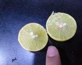 A picture of step 1 of Mint margarita.