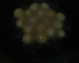 Foto langkah ke 4 dari resep Bola bola ubi kuning.