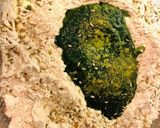 A picture of step 2 of Spinach Poori.