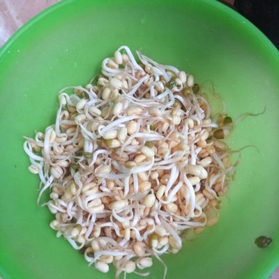 Langkah 5