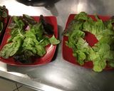 Une image de l'étape 9 de Concombre mariné crème et herbes salade feuille de chêne.