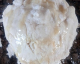 Foto del paso 1 de la receta: Empanadas de atún y queso