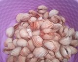 Foto langkah ke 3 dari resep Kerang Dara Rebus.