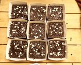 A picture of step 5 of Chocolate Brownie.