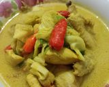 Foto langkah ke 7 dari resep 17. Tongseng Ayam Santan.