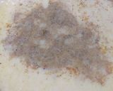 A picture of step 3 of Makhana Burfi.
