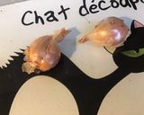 Une image de l'étape 1 de Tagliatelles noires aux têtes et pattes de calamars,échalotes,citron et persil.