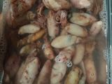 Sambal baby cumi daun jeruk