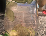 Foto del paso 3 de la receta: Agua Detox