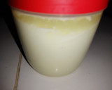 Foto del paso 4 de la receta: Yogurt natural casero