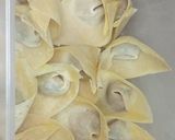 A picture of step 5 of Chicken Wonton🥟.
