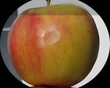 Tejfölös vegyes saláta recept fázis 2 fotója